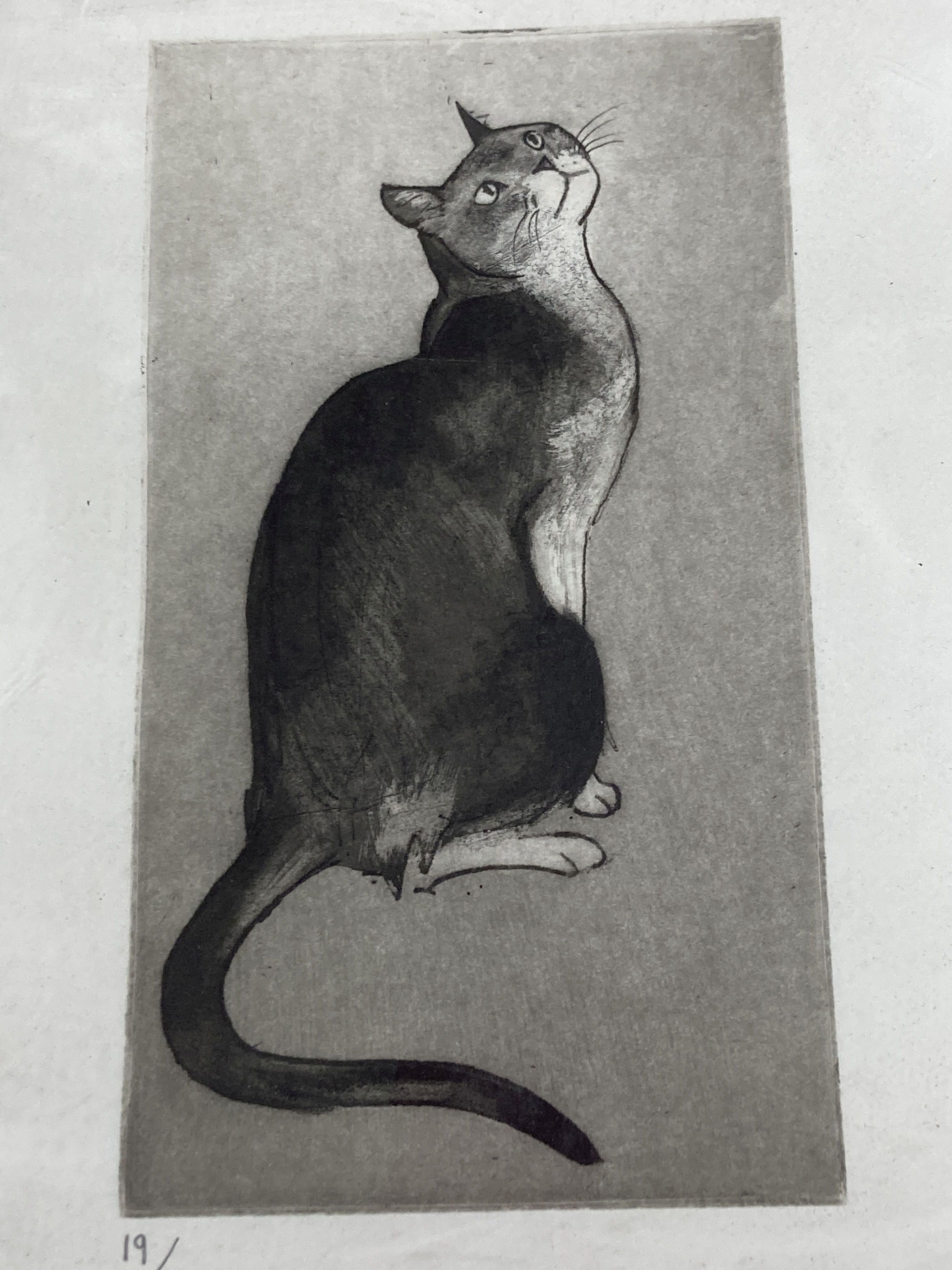 Modern British, three limited edition prints, Studies of cats, largest 41 x 35cm